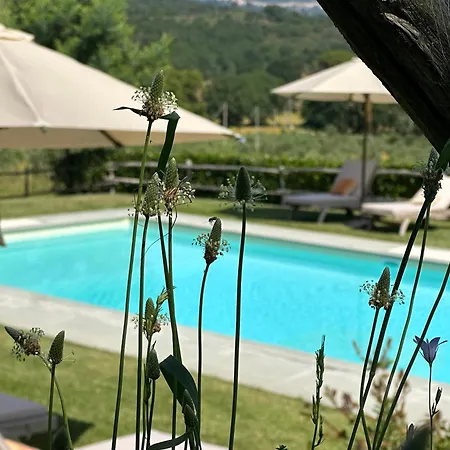 Apartmán Gio Toscana *