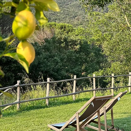 Gio Toscana Apartmán